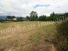 Estate Agents Picture 1