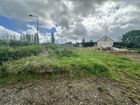 Estate Agents Picture 1
