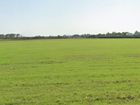 Estate Agents Picture 1
