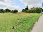 Estate Agents Picture 2
