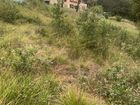 Estate Agents Picture 2