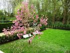 Estate Agents Picture 1