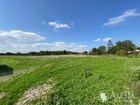 Estate Agents Picture 2