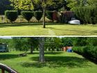 Estate Agents Picture 2