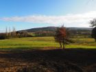 Estate Agents Picture 1