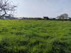 Estate Agents Picture 3