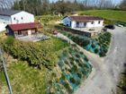 Estate Agents Picture 3