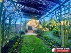 Estate Agents Picture 2