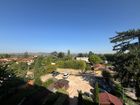 Estate Agents Picture 2