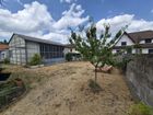 Estate Agents Picture 2