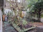 Estate Agents Picture 2