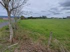 Estate Agents Picture 2