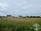 Estate Agents Picture 2