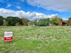 Estate Agents Picture 2