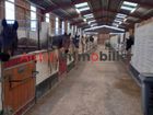 Estate Agents Picture 2