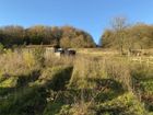 Estate Agents Picture 2
