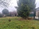 Estate Agents Picture 1