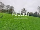 Estate Agents Picture 2