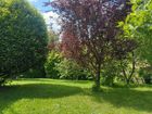 Estate Agents Picture 2