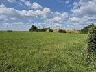 Estate Agents Picture 1