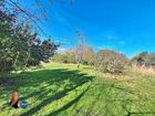 Estate Agents Picture 2