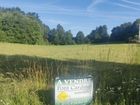 Estate Agents Picture 3