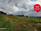 Estate Agents Picture 2
