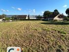 Estate Agents Picture 3