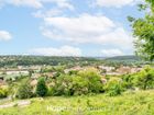 Estate Agents Picture 3