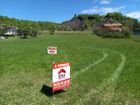 Estate Agents Picture 2