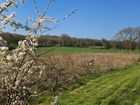 Estate Agents Picture 3