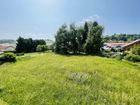 Estate Agents Picture 1