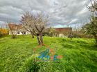 Estate Agents Picture 2