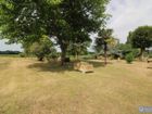 Estate Agents Picture 1
