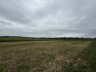 Estate Agents Picture 3
