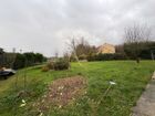 Estate Agents Picture 1