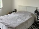 Estate Agents Picture 1