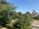 Estate Agents Picture 2