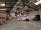 Estate Agents Picture 2
