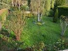 Estate Agents Picture 1