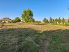 Estate Agents Picture 2