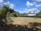 Estate Agents Picture 2