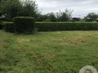 Estate Agents Picture 2