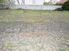 Estate Agents Picture 1