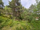 Estate Agents Picture 1