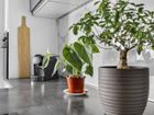 Estate Agents Picture 2