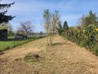 Estate Agents Picture 2