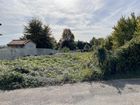Estate Agents Picture 1
