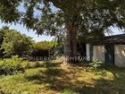 Estate Agents Picture 1
