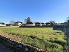 Estate Agents Picture 2